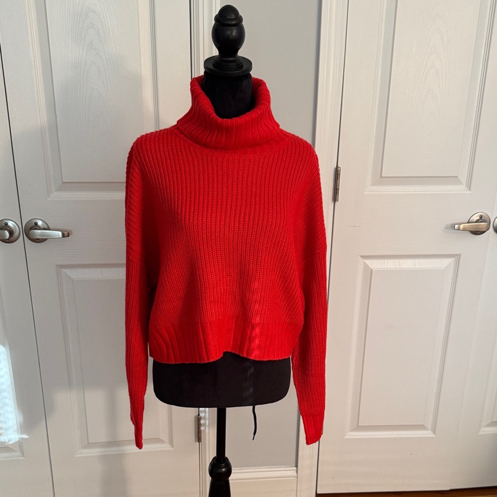 Future Collective Red Turtleneck Sweater